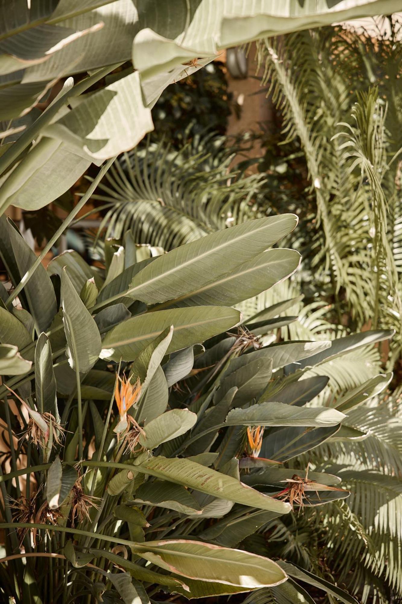 קן פסטייה Apartamentos Isla Del Sol מראה חיצוני תמונה